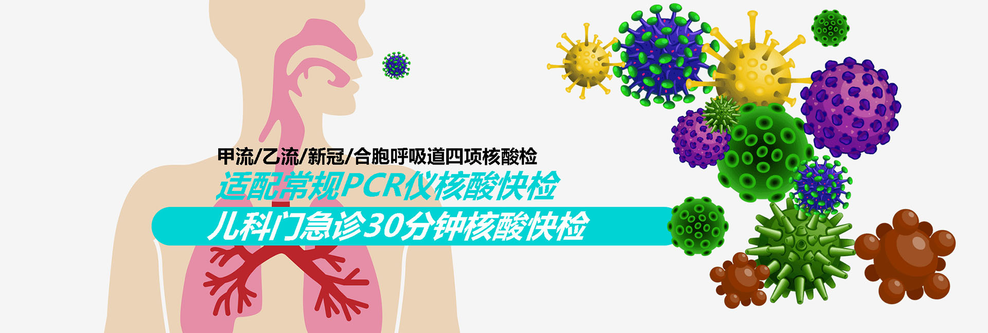 首页轮播图六