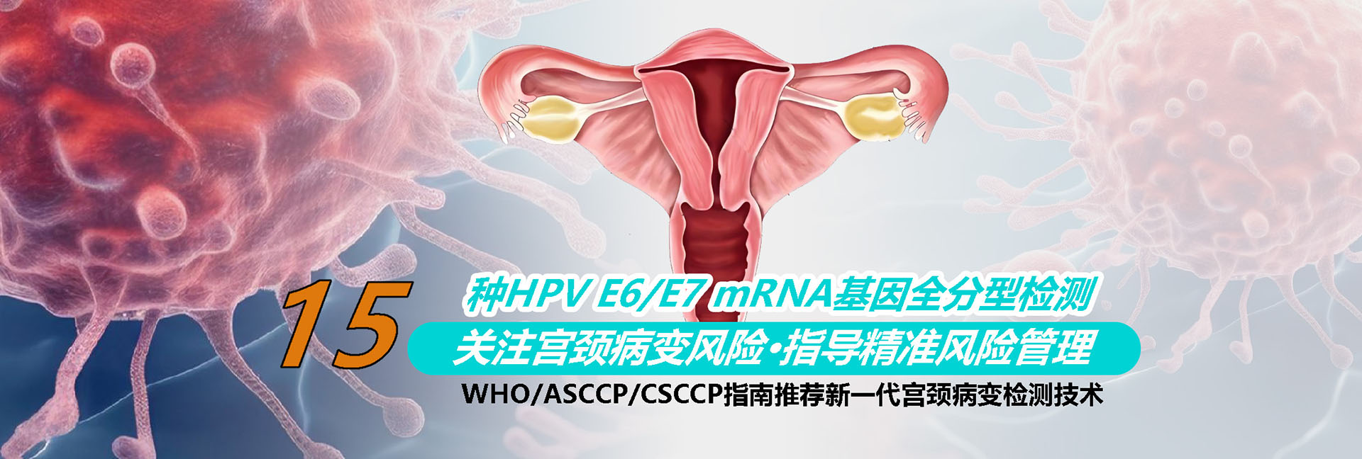 首页轮播图五
